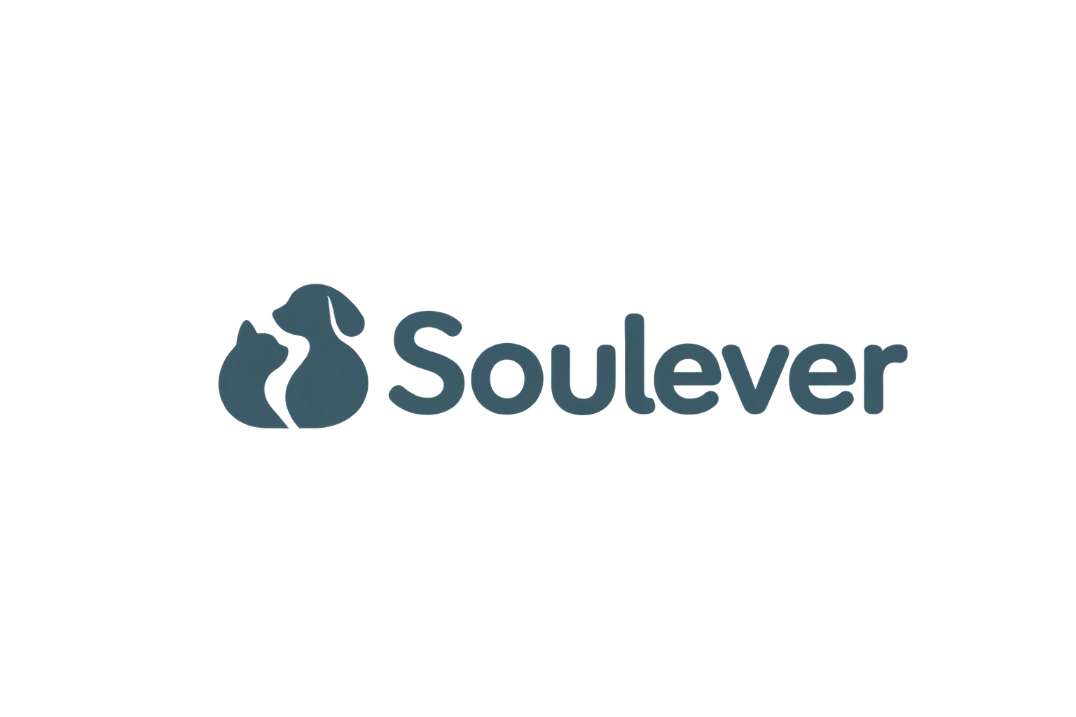 Soulever 猫狗相伴